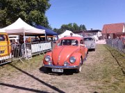 Cox Show 2017 (21)